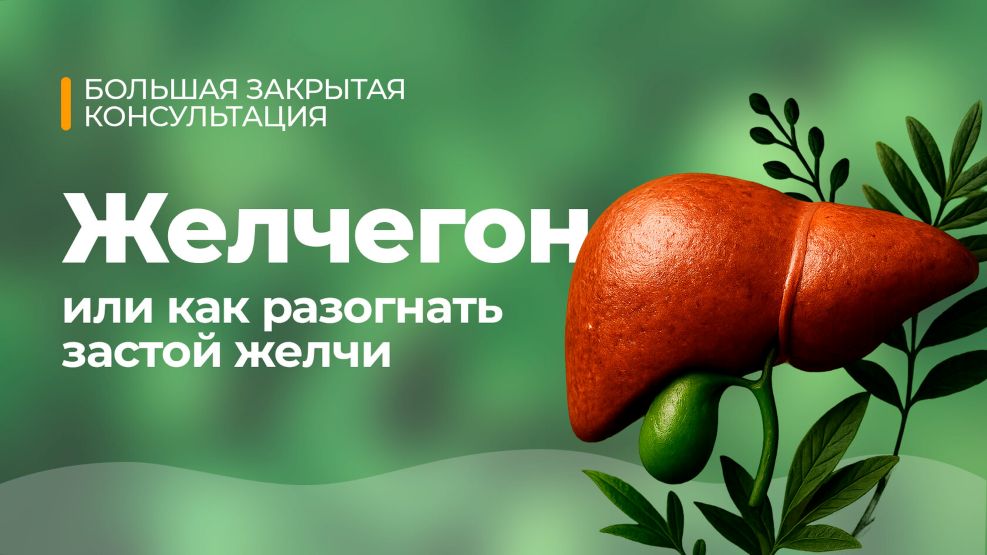 [Юлия Мартьянова] Желчегон (2025)_0.jpg